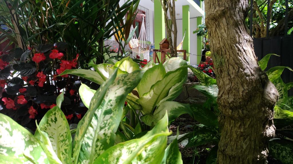 Hostal & Spa Casa Real Баньос Экстерьер фото